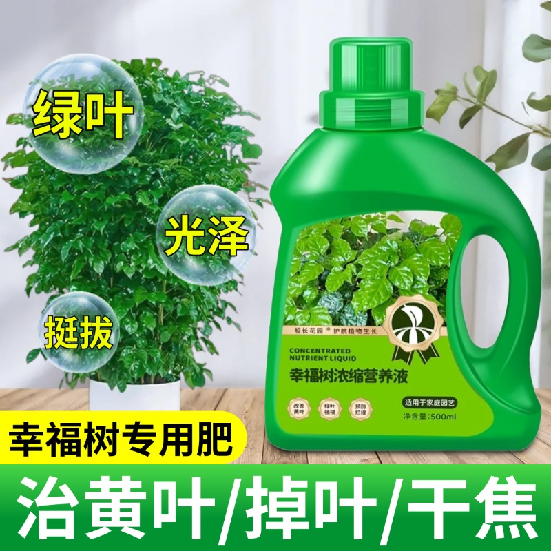 幸福树专用营养液盆栽植物室内