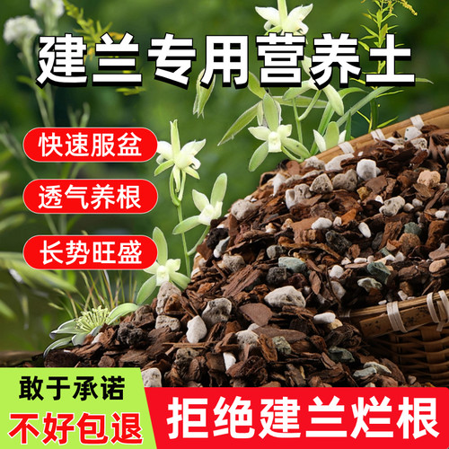 花大师建兰/剑兰/墨兰营养颗粒土