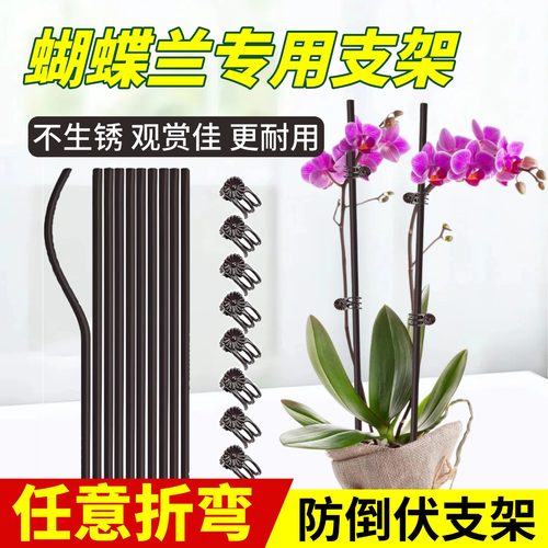 蝴蝶兰花支架兰夹子支撑杆植物爬藤花卉弯曲固定专用铁丝支架园艺