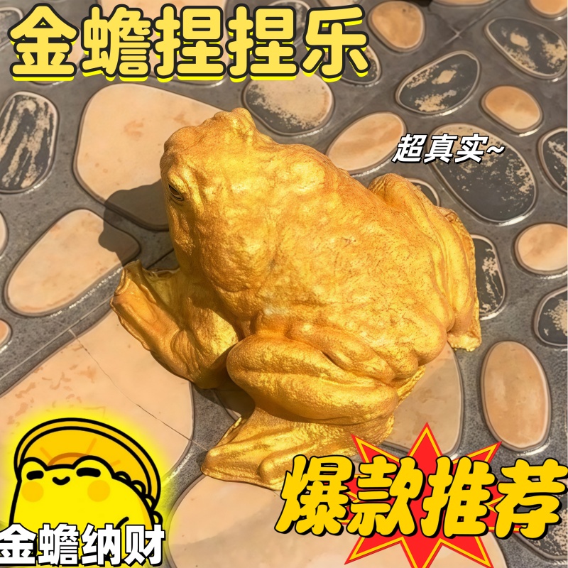 2025爆款玩具仿真癞蛤蟆捏捏乐