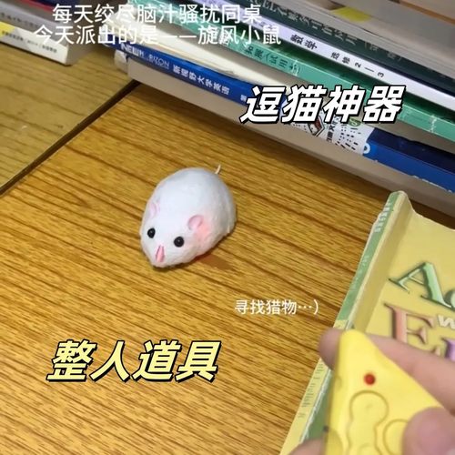 【创意整蛊神器】电动遥控小老鼠
