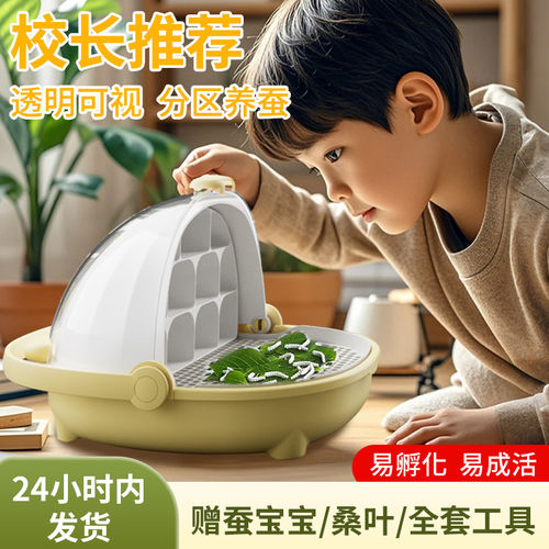 【教材同布老师推荐】养蚕宝宝