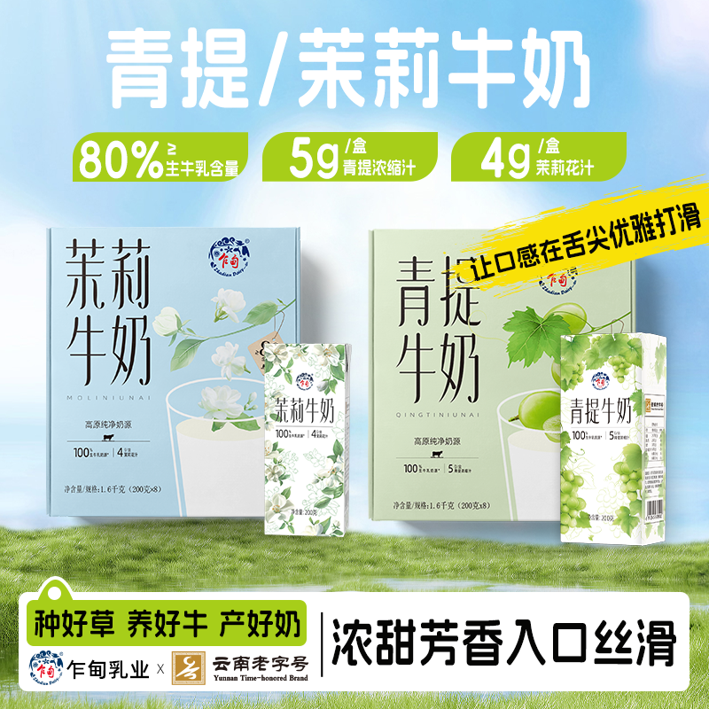 乍甸云南高原青提果香茉莉花香味甜牛奶整箱礼盒8盒/箱装