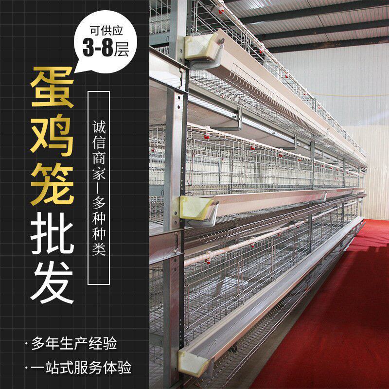 全自动框架蛋鸡笼养鸡设备自动清粪系统养殖设备镀锌大层叠养鸡笼