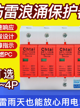 浪涌保护器 防雷电涌保护器 4P20KA40电源一级二级防避雷器2P家用