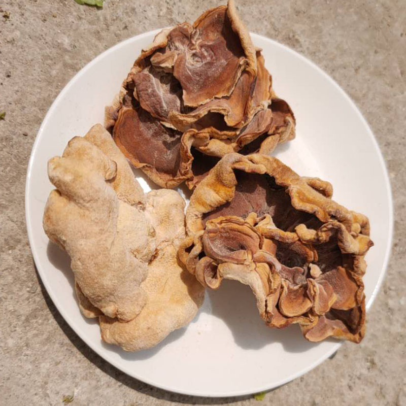 榆耳菌灵芝菇食用农产品干货500g素食餐饮用团膳食材灵芝菌原产地