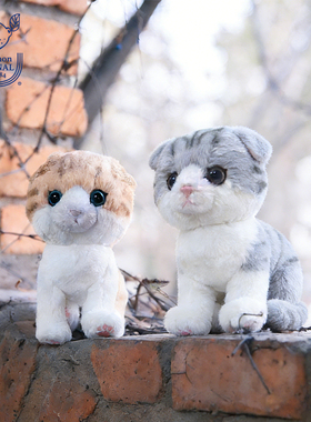 日本sunlemon仿真猫咪毛绒玩偶折耳猫玩具安抚小公仔娃娃生日礼物