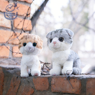 日本sunlemon仿真猫咪毛绒玩偶折耳猫玩具安抚小公仔娃娃生日礼物