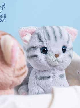 日本sunlemon仿真美短小猫毛绒玩偶安抚娃娃猫咪玩具公仔生日礼物