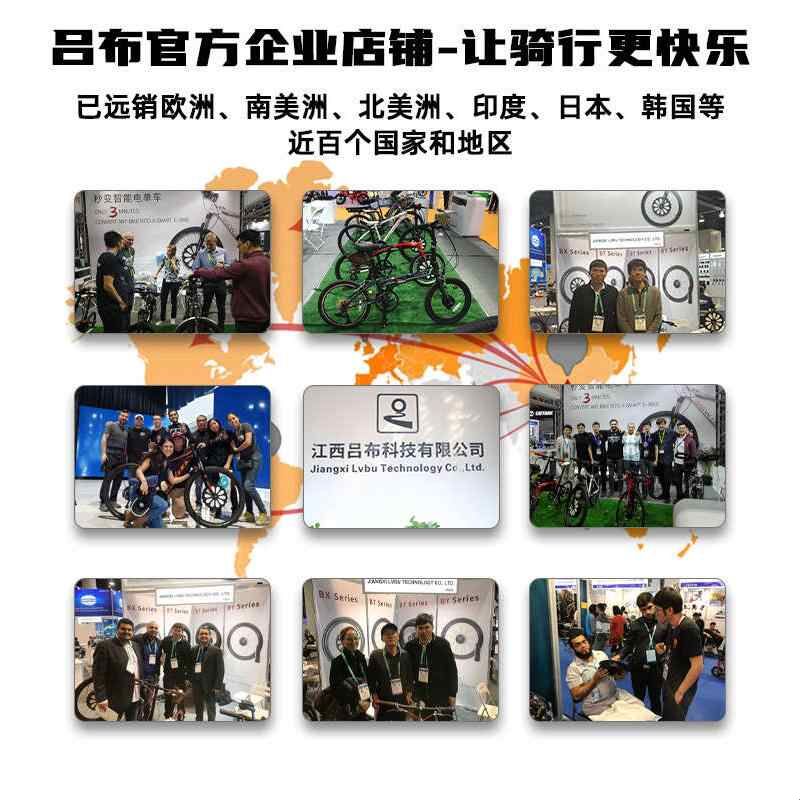 吕布云轮前置外转子电机自行车改装配件高速无刷永磁电机250W350W图片