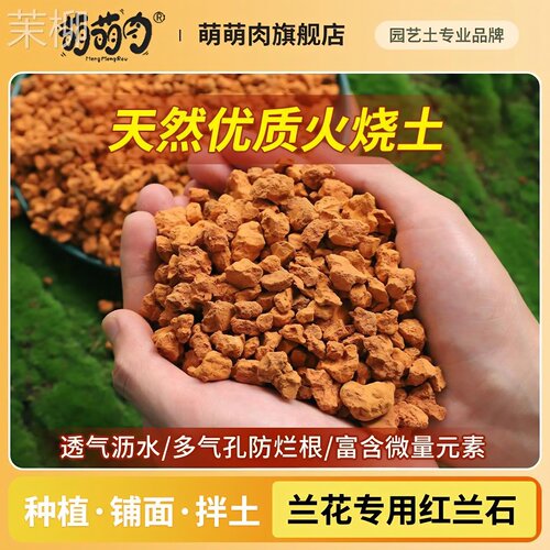 火烧土红土颗粒兰花专用土火山石头透气多肉花卉盆景垫底铺面石