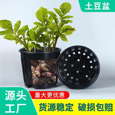 土豆种植桶大号红薯花生生姜双层种植盆家庭阳台加厚土培盆