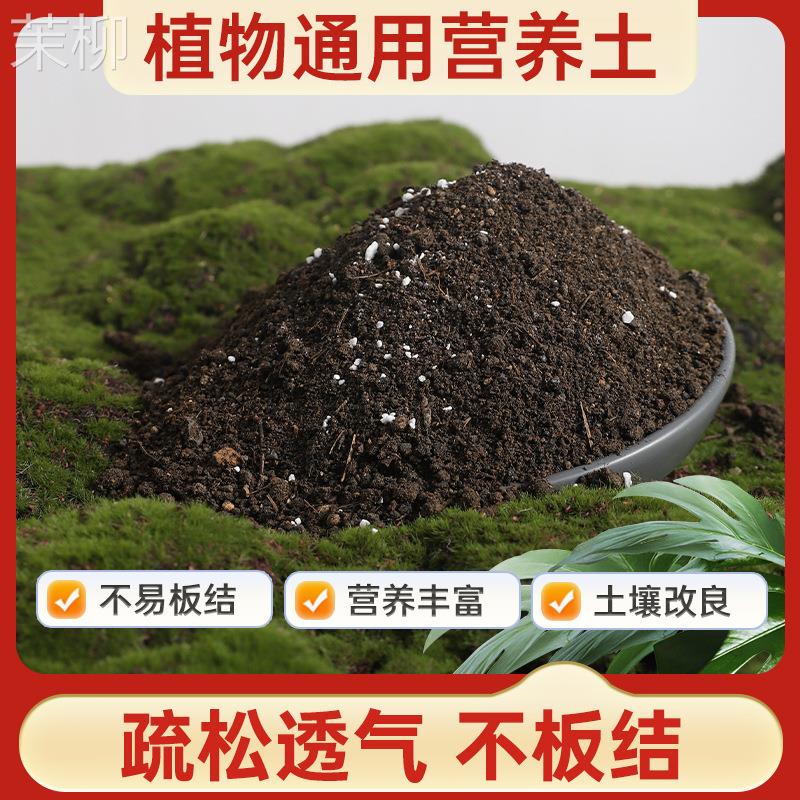 营养土养花专用通用型种菜土壤多肉盆栽种植土种花花土泥土栽培土