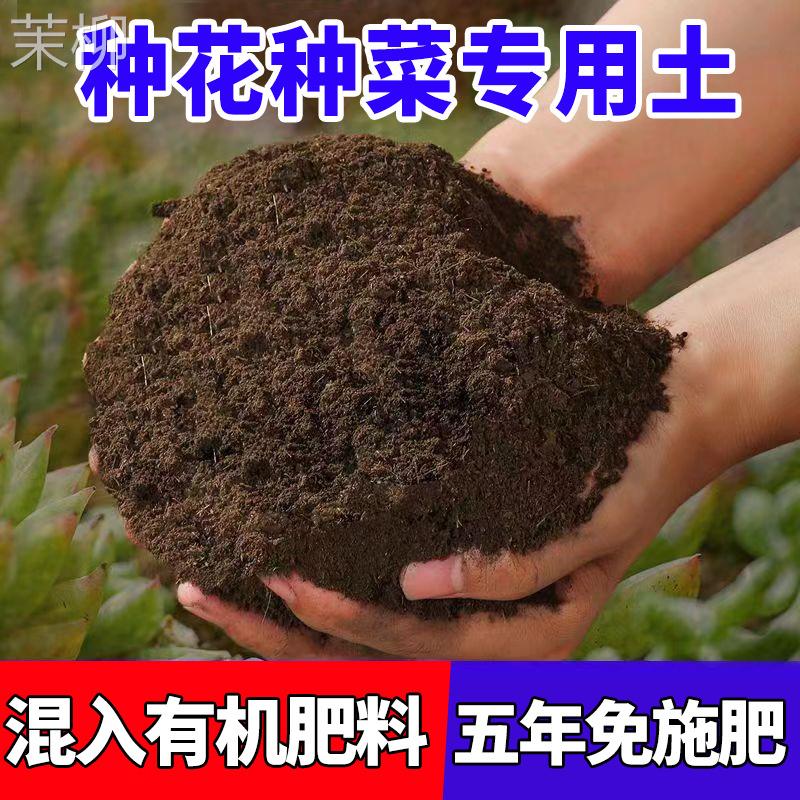 蔬菜水果种植土壤杀菌杀虫种菜养花土肥料专用有机肥营养土花土