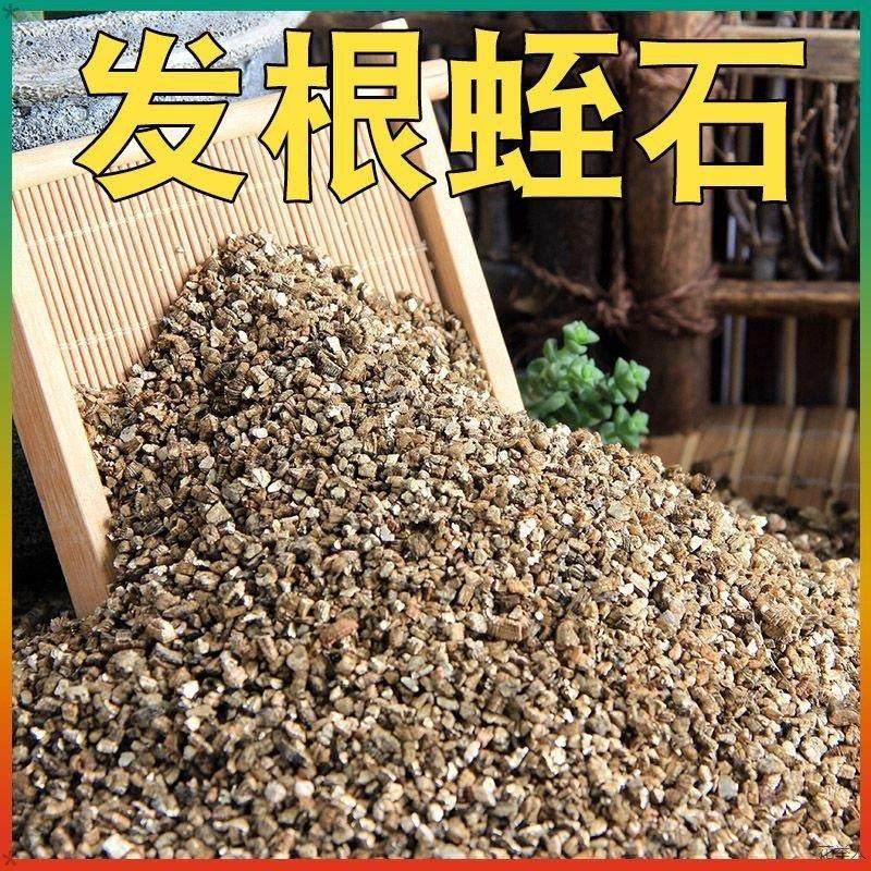 蛭石颗粒金黄园艺养花用扦插发根育苗多肉营养土肥料龟蛋孵化保温,节庆用品/礼品,笔筒,淘宝优惠券,粉丝福利购,淘宝优惠卷