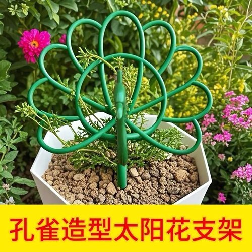 金枝玉叶定型定型架花卉专用支撑架庭院固定架花架子固定绿植