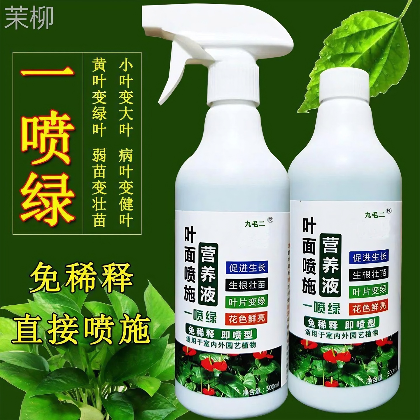 黄叶一喷绿花卉营养液延长花期多肉生根壮根肥料叶绿素稀释营养液