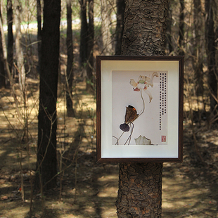 蝴蝶标本枯叶蛱蝶真蝴蝶相框装裱DIY国画风送男女朋友送老师礼物