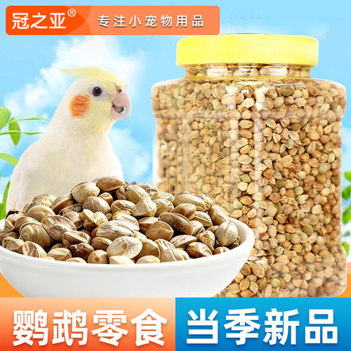 纸壳麻子和尚鹦鹉专用粮互动零食奖励纸皮粮食营养训练麻籽