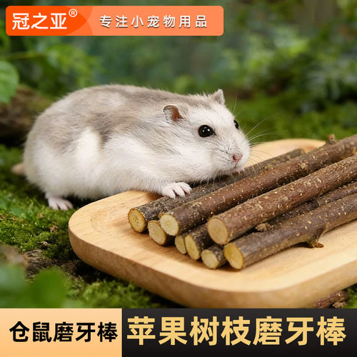 苹果枝磨牙串仓鼠磨牙棒苹果枝兔子磨牙龙猫零食豚鼠荷兰猪洁齿棒