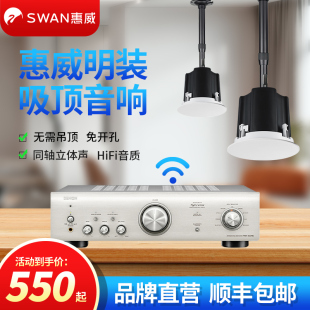 店铺背景音乐专用HiFi音响 惠威高端明装 吸顶喇叭室内免开孔悬挂式