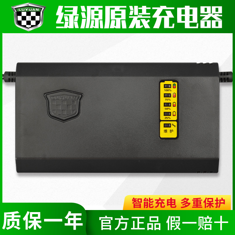 绿源原装电动车电瓶充电器48V6012/20AH30AH20E-T30E2T原厂配件 电动车/配件/交通工具 电动车充电器 原图主图