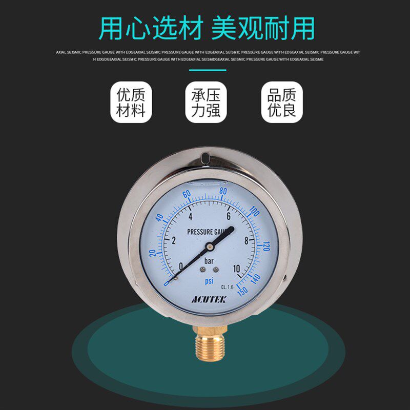 径向带边耐震压力表 YN100T 16bar G1/2 船用 防震 抗震压力表