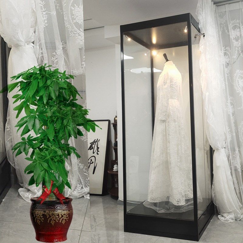 礼服婚纱模特展示柜泳衣内衣玻璃展柜男女中西装透明柜商用立式柜