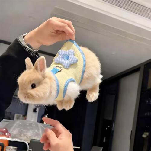 兔兔衣服夏季薄款花朵背心可牵引安哥拉兔侏儒兔专用宠物服饰透气