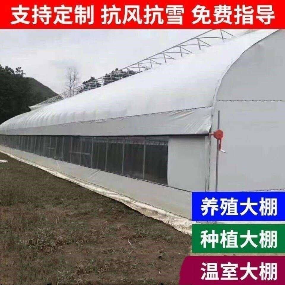 新殖大棚a骨架全套钢管大棚养鸡大棚鹅鸭棚养猪大棚牛羊棚鸡舍家