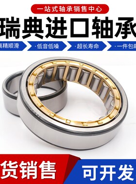 进口轴承N NJ NU1011 1012 1013 1014 1015 1016 1017 ECM ECP