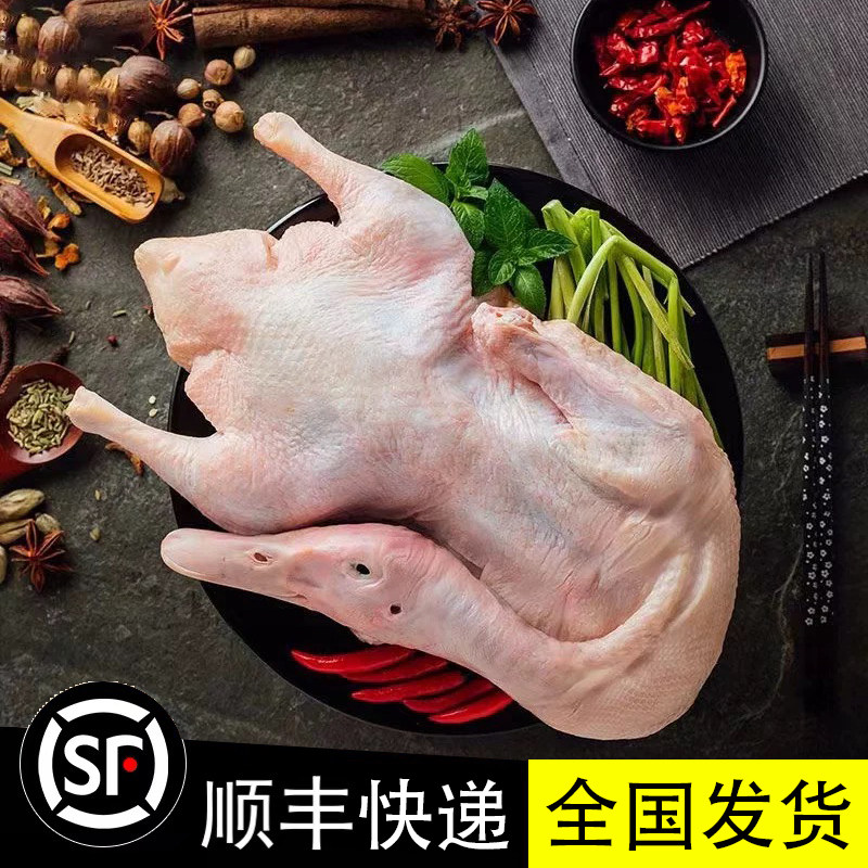 广东新鲜白条鸭4-6斤1只烧鸭烤鸭专用冷冻批发商用整只现杀光鸭肉