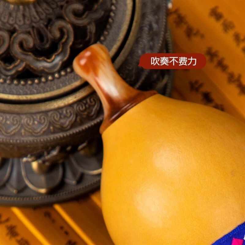 葫芦丝乐器初学者C调降B调F调防摔儿童小学生七孔紫竹胡葫丝