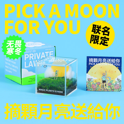 苔藓微景观办公室桌面创意绿植