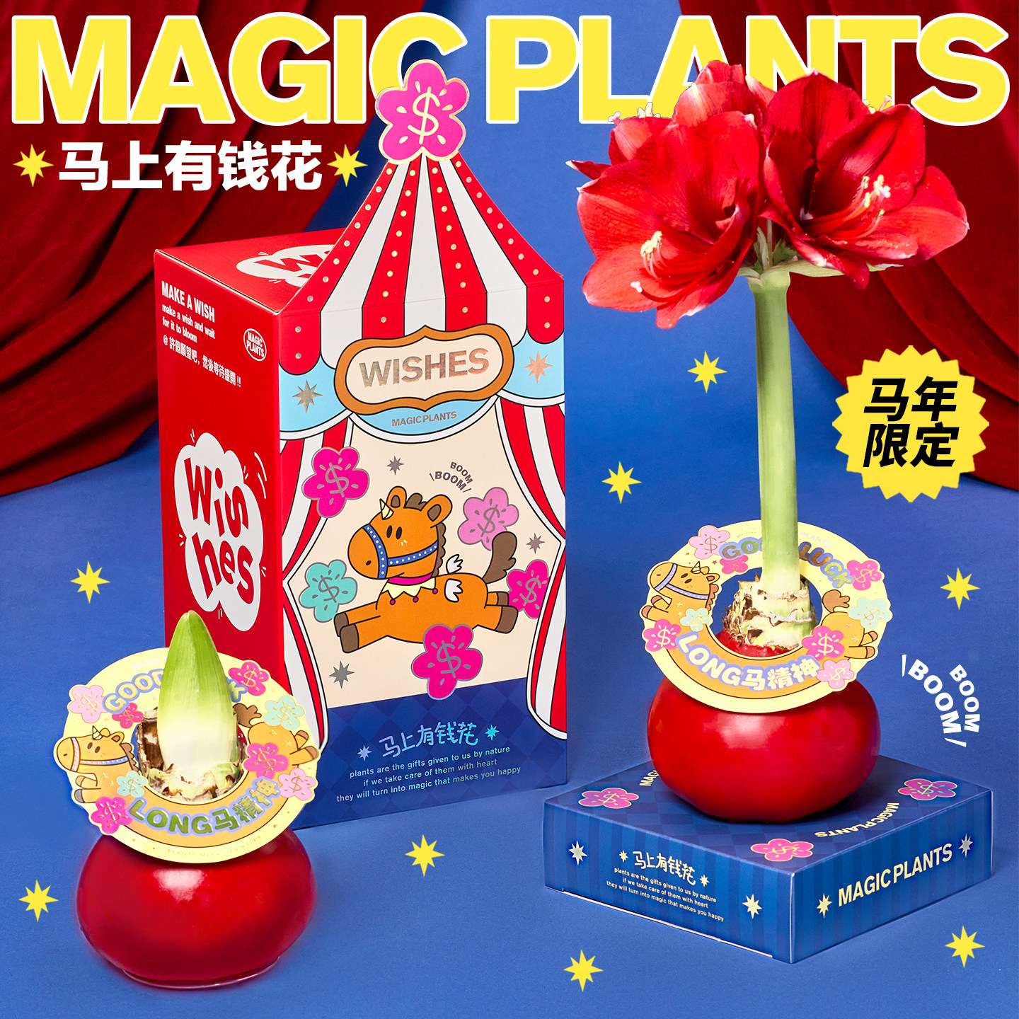 神奇植物蜡封朱顶红蜡球注定红懒人室内桌面植物马年乔迁伴手礼物