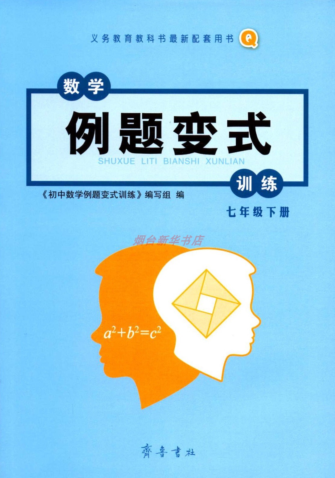 2024六三制数学7七年级下册例题变式训练义务教育教科书配套用书配青岛版齐鲁书社