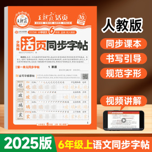 2025版 暑假作业衔接教材小学生好词好句书法练字帖生字帖正楷书临摹描摹描红点阵控笔 王朝霞活页同步字帖语文五升六年级上册人教版