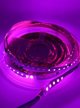 LE24V2835低压线型追光流水灯带软灯条室内照明贴片楼梯 双色温