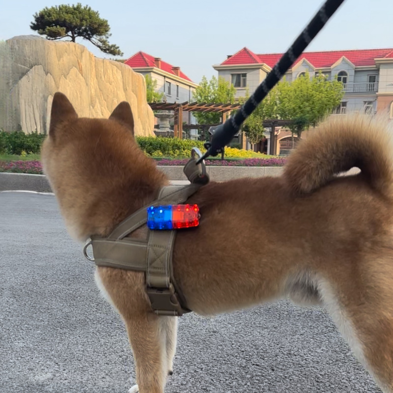 狗狗牵引绳胸背带背心式宠物遛狗绳中小型柴犬犬法斗柯基脖圈