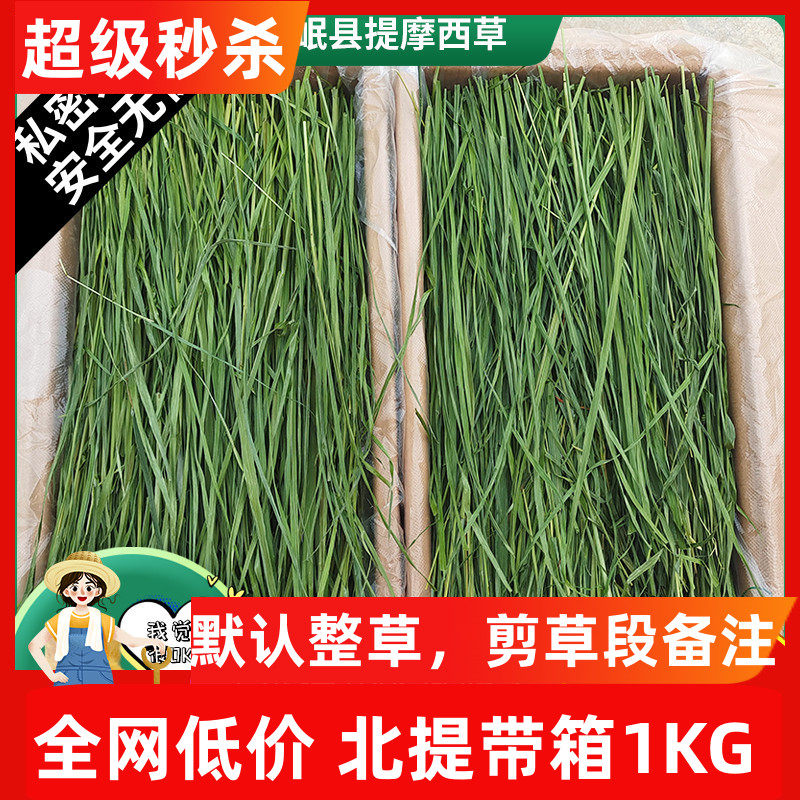 7A新25精烘干提摩西草北提毛重1KG提草兔子草荷兰猪龙猫牧草岷县