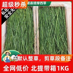 7A新25精烘干提摩西草北提毛重1KG提草兔子草荷兰猪龙猫牧草岷县