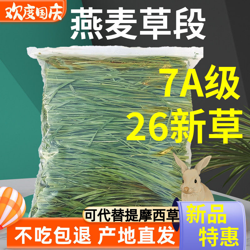 烘干燕麦草兔子草荷兰猪龙猫粮食图片