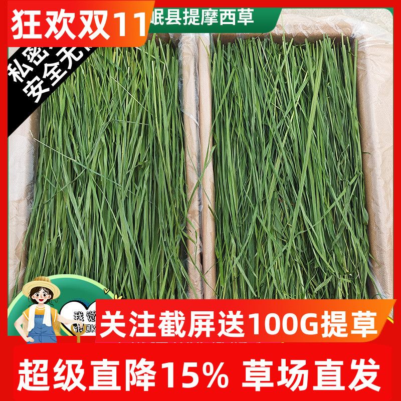 7AA新25精烘干提摩西草北提毛重1KG提草兔子草荷兰猪龙猫牧草岷县