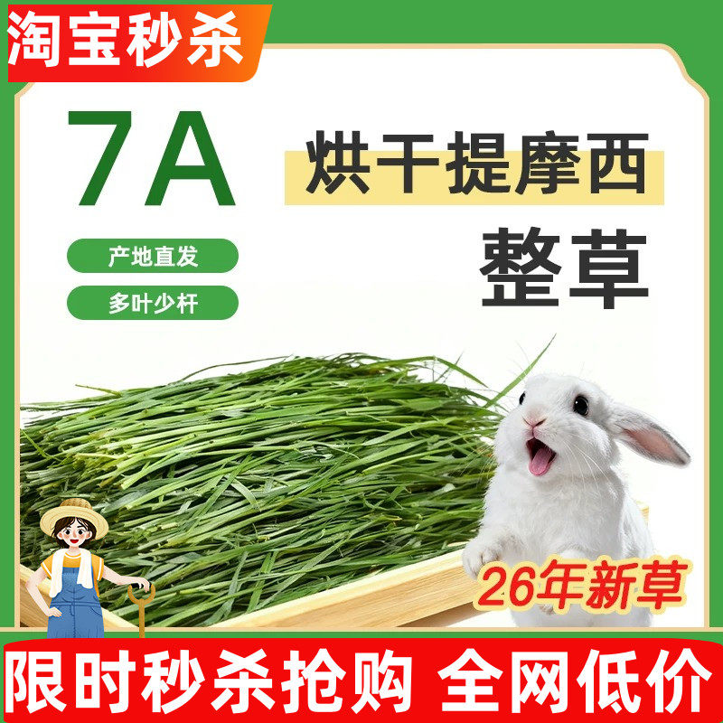 7A新26年烘干提摩西草精品北提干草兔子粮饲料荷兰猪龙猫牧草500g