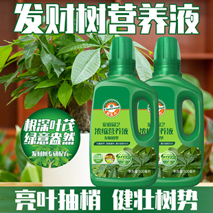 发财树营养液肥料专用肥治叶子发黄掉叶烂根根深叶茂壮枝植物花肥
