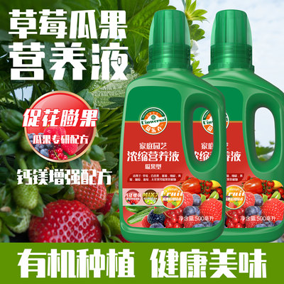 草莓瓜果西红柿促花膨果营养液