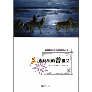 【正版】森林里的曾祖父斯克列比茨基海燕出版社9787535056955
