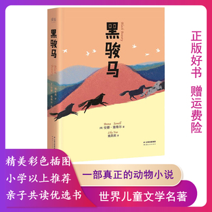 【正版】黑骏马(微瑕)云南人民出版社
