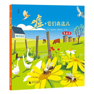 草丛篇广西师范大学出版 它们在这儿 嘘 社 正版