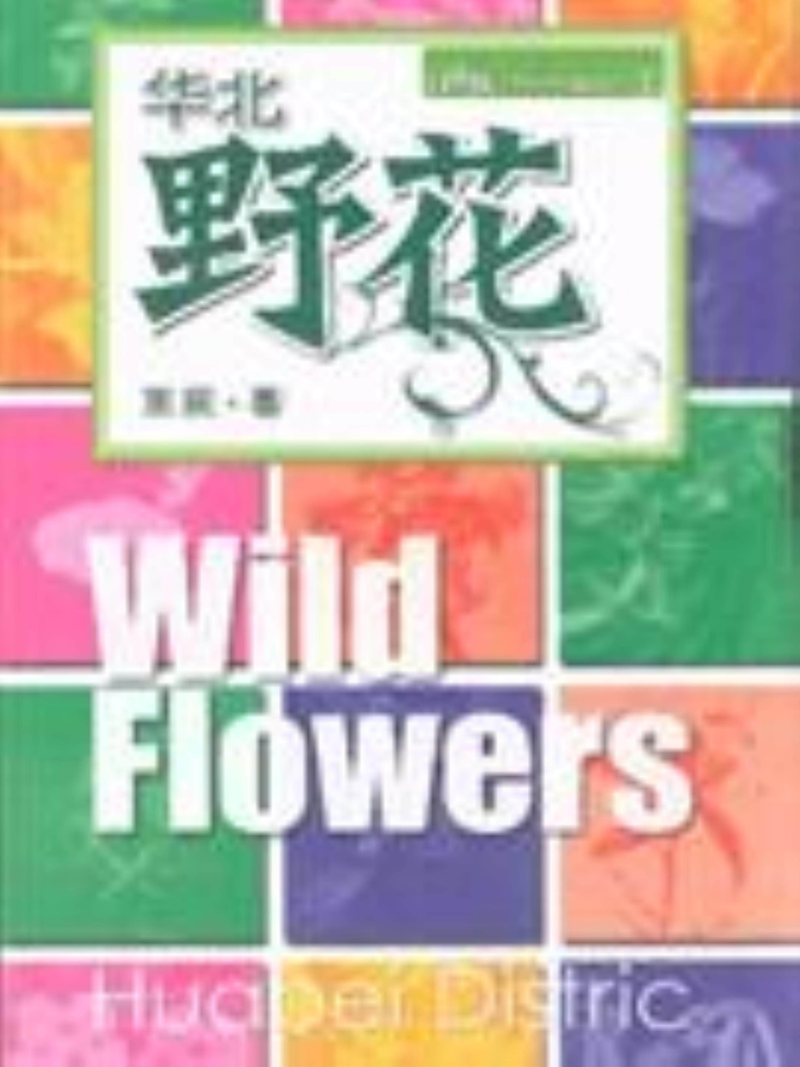 【正版】华北野花王辰中国林业出版社9787503852442怎么样,好用不?